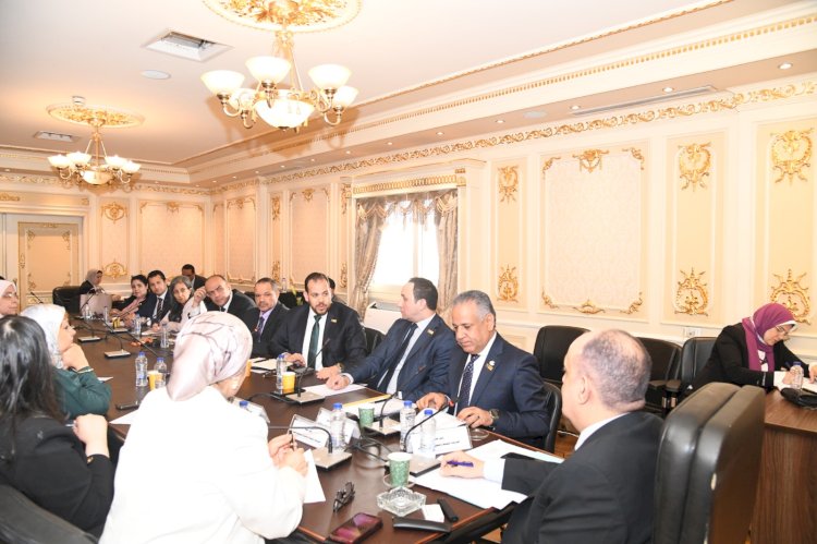 لجنة المشروعات الصغيرة بالنواب تستضيف "رجال الأعمال المصريين الأفارقة"
