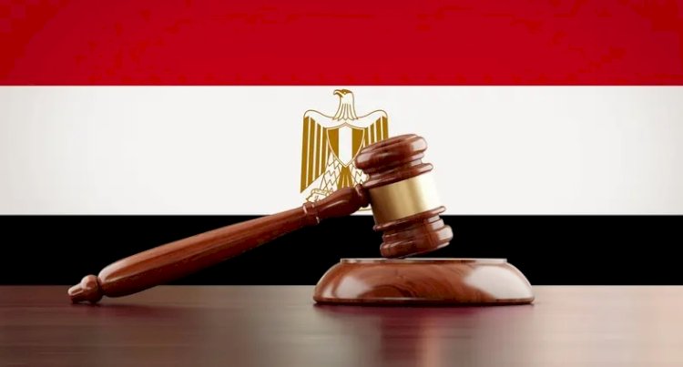طارق سرور: الجنايات لا تختص بكل جنح النشر