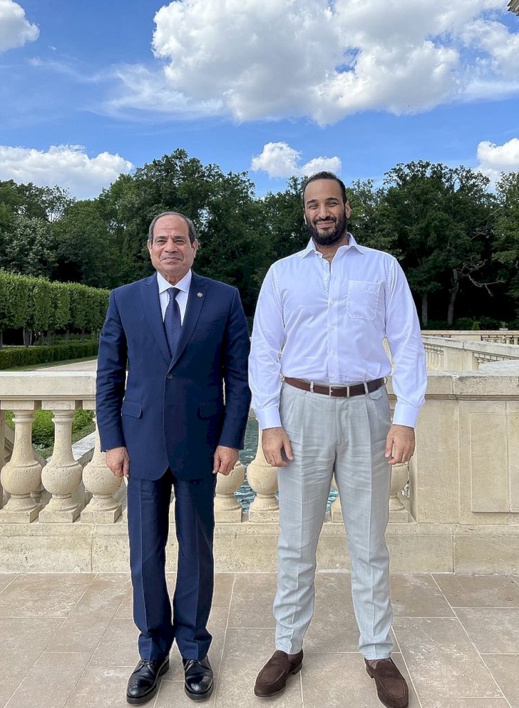 لقاء ودي بين الرئيس السيسي وولي العهد السعودي في باريس