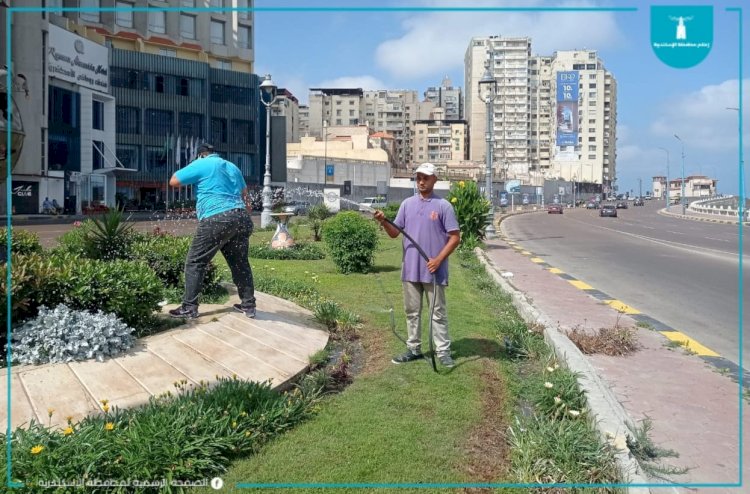 الاسكندرية تتزين لاستقبال اول ايام العيد