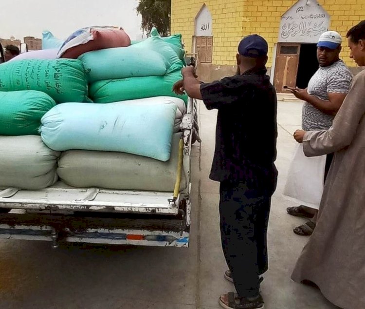 محافظ المنيا: استمرار أعمال التوريد .. أكثر من نصف طن قمح منذ بدء الموسم