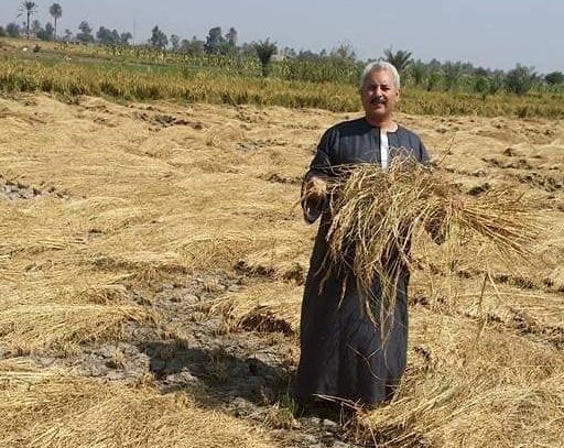 مشروع تبطين الترع حقق تكلفته في عام واحد