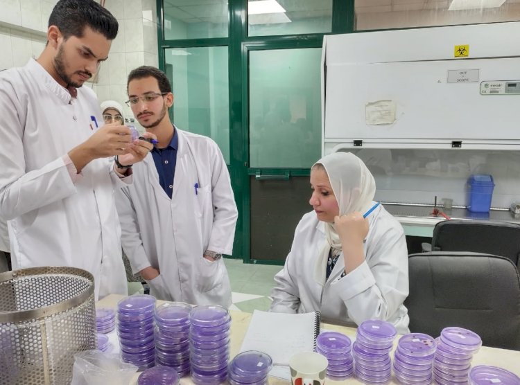 د نجلاء بلابل : فحص ٩٩٢ الف طن بطاطس للتصدير