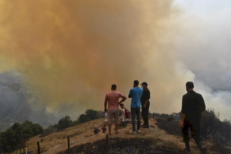 الجزائر:مقتل واصابة 41 واجلاء 1500 مواطن والحرائق تمتد لـ16 ولاية