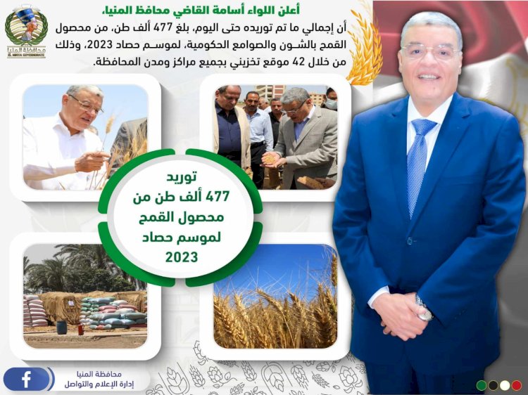 محافظ المنيا: شون وصوامع المنيا استقبلت  ٤٧٧ الف طن قمح