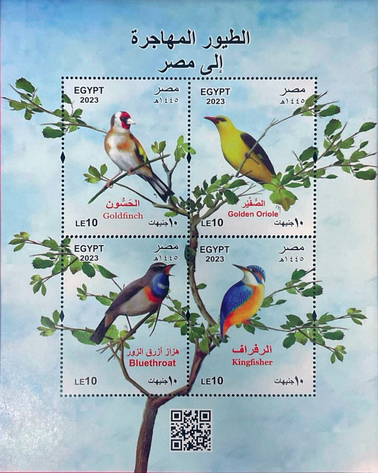 البريد يصدر بطاقة تذكارية  ترصد ظاهرة الطيور المهاجرة