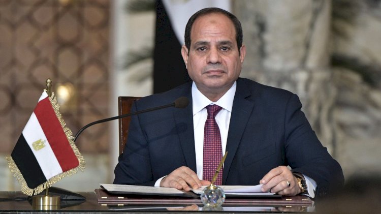 السيسى لرئيسة وزراء الدنمارك: يجب وقف الأعمال العسكرية ضد المدنيين بغزة