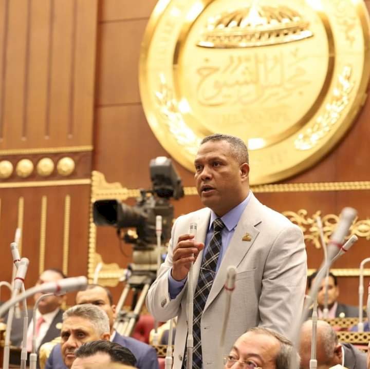 النائب محمد حمزة: زيارة رئيس الوزراء لشمال سيناء رسالة للعالم أجمع