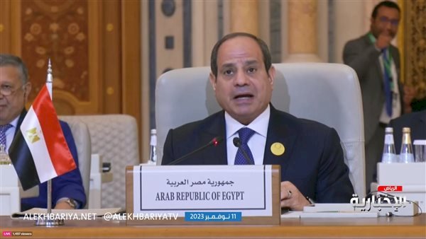 السيسي: دعاوي القتل والتهجير والعقاب الجماعي ليست دفاعا عن النفس