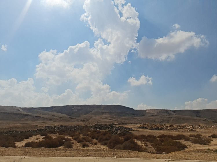 طقس الجمعة 17 نوفمبر  معتدل وشبورة كثيفة على الطرق