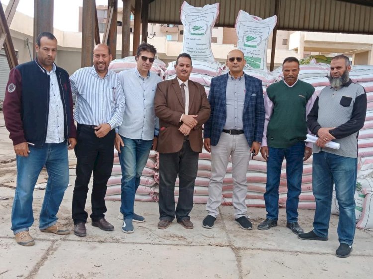الزراعة تتابع توزيع تقاوي القمح في النوبارية ووادي النطرون