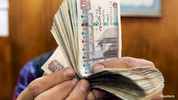 سيدة الجيزة تنصب علي عملاء شركات تقديم القروض