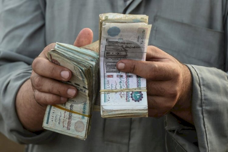 ضبط مالك شركة استولى على أموال 4 سيدات بالدقهلية بدعوى توظيفها
