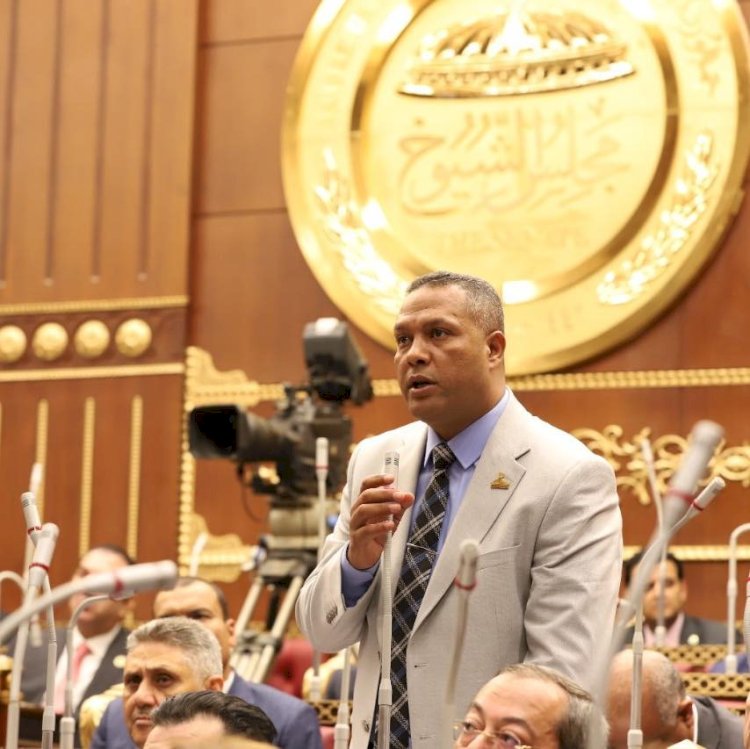 النائب محمد حمزة: محطة الضبعة النووية إنجاز للدولة المصرية فى عهد الرئيس السيسي