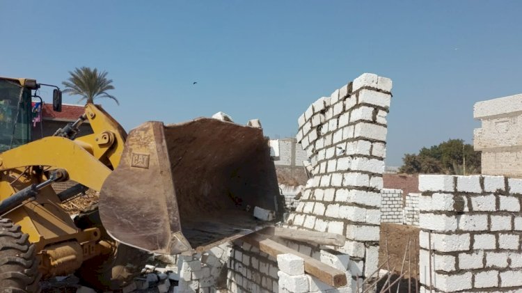 استرداد 292 فدان أملاك دولة و إزالة 80 حالة تعد بمركزي بني مزار وملوي بالمنيا
