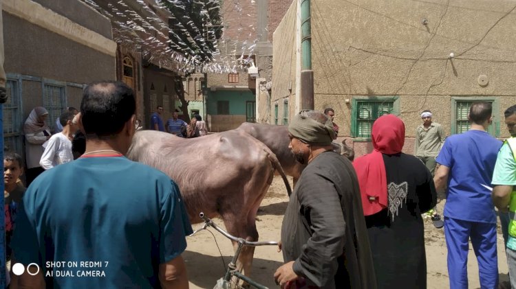 الزراعة تختتم فعاليات القافلة البيطرية بسوهاج