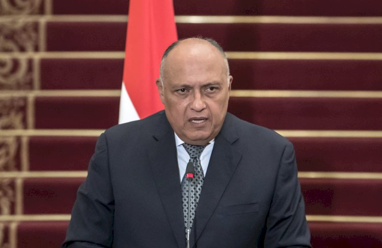 وزير الخارجية: مصر صاحبة النصيب الأكبر من المساعدات الموجهة لغزة