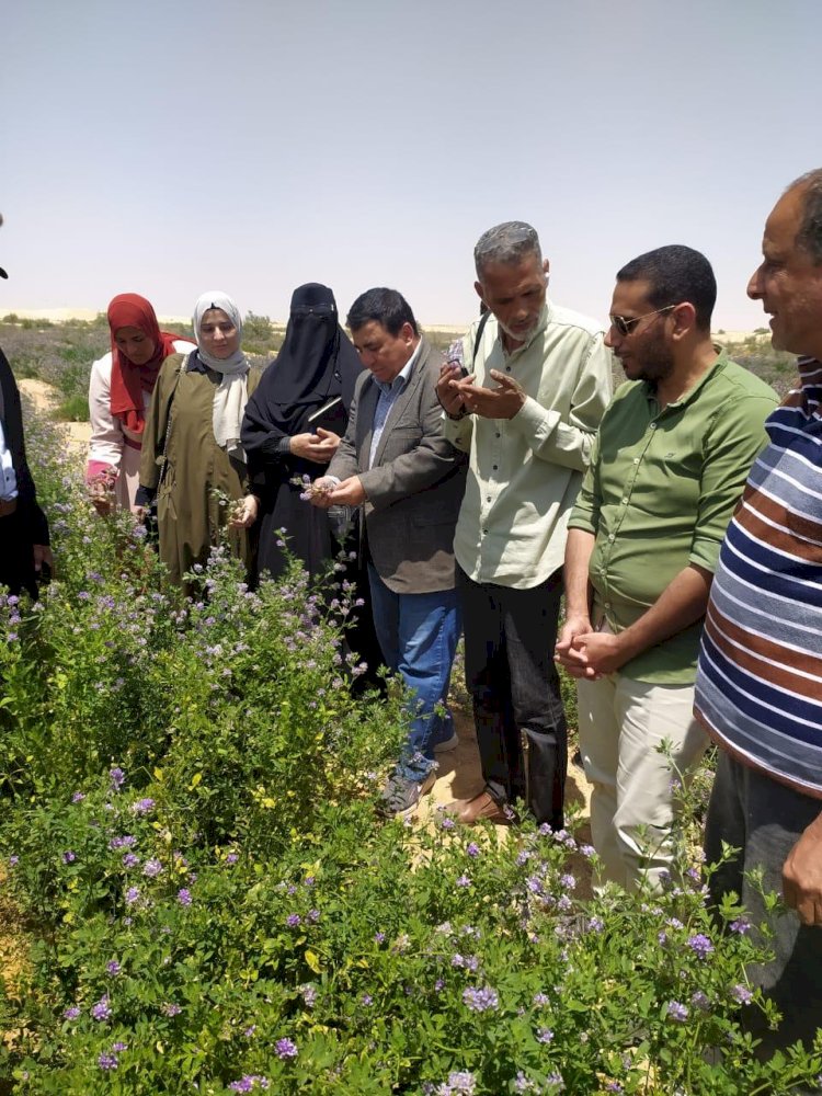 معهد امراض النباتات يعرض اهم انشطته خلال ابريل الماضي
