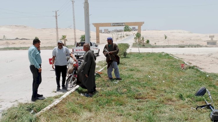 زراعة 250 شجرة بمركز سمالوط بالمنيا