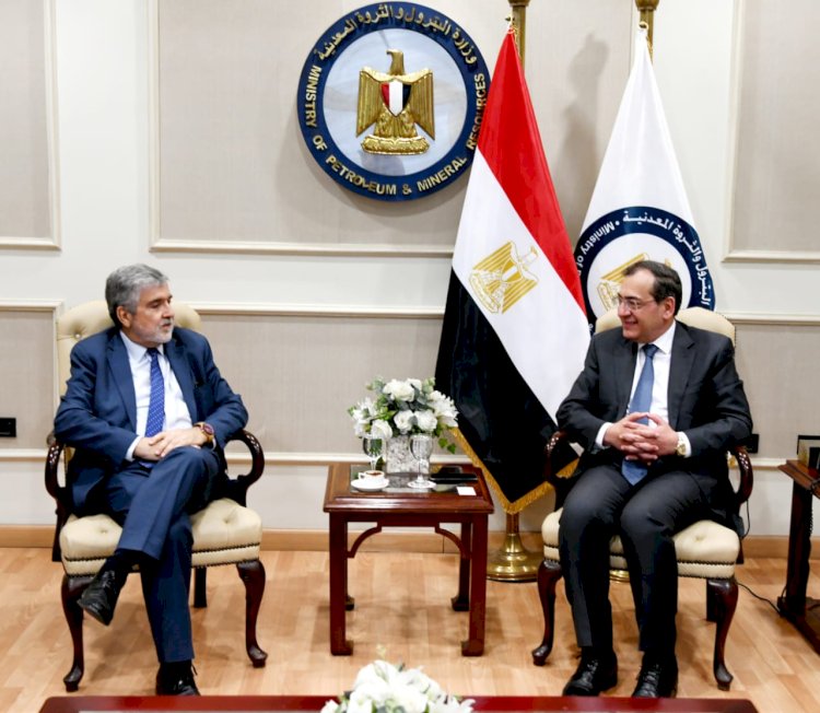 الملا والسفير التشيلي بحثا نشاط" ايناب" التشيلية في القاهرة