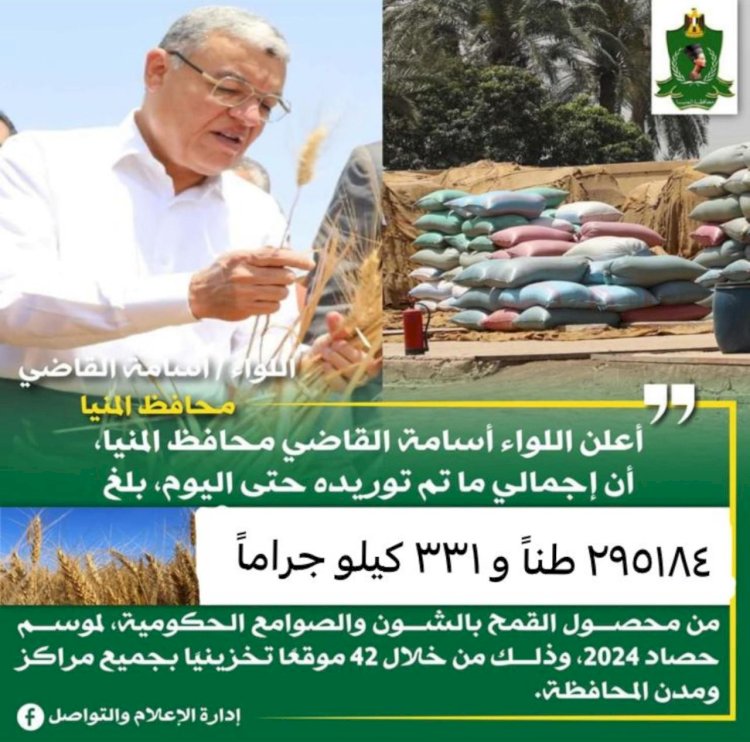 محافظ المنيا: استقبال 295 ألف طن من القمح في شون وصوامع المحافظة منذ بدء الموسم