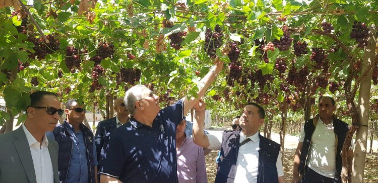 "القصير"يتفقد احدي محطات ومزارع التصدير بالنوبارية