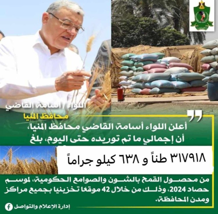 محافظ المنيا: الشون والصوامع تواصل استقبال القمح وتوريد 318 ألف طن