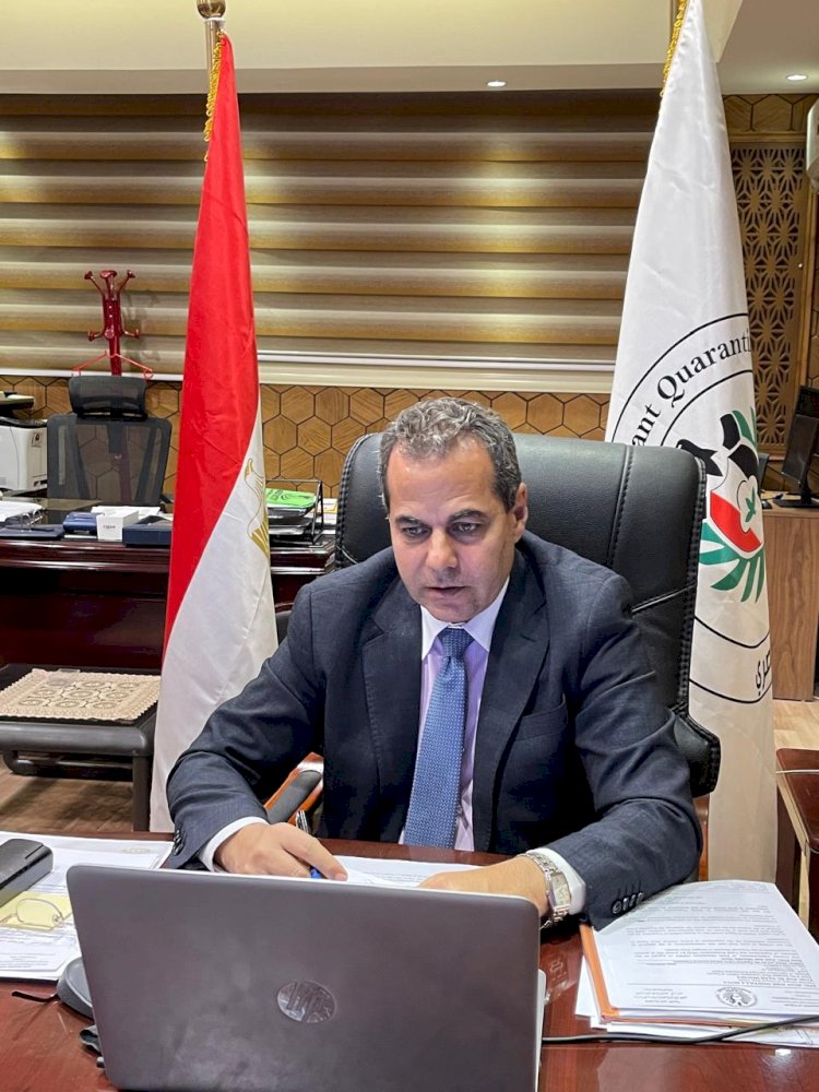 اسواق فنزويلا تفتح احضانها ل"البرتقال"المصري