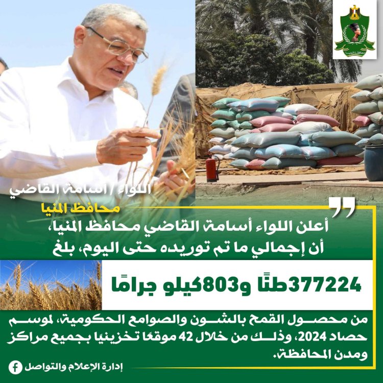 محافظ المنيا: شون وصوامع المحافظة تواصل استقبال القمح وتوريد 377 ألف طن منذ بدء الموسم