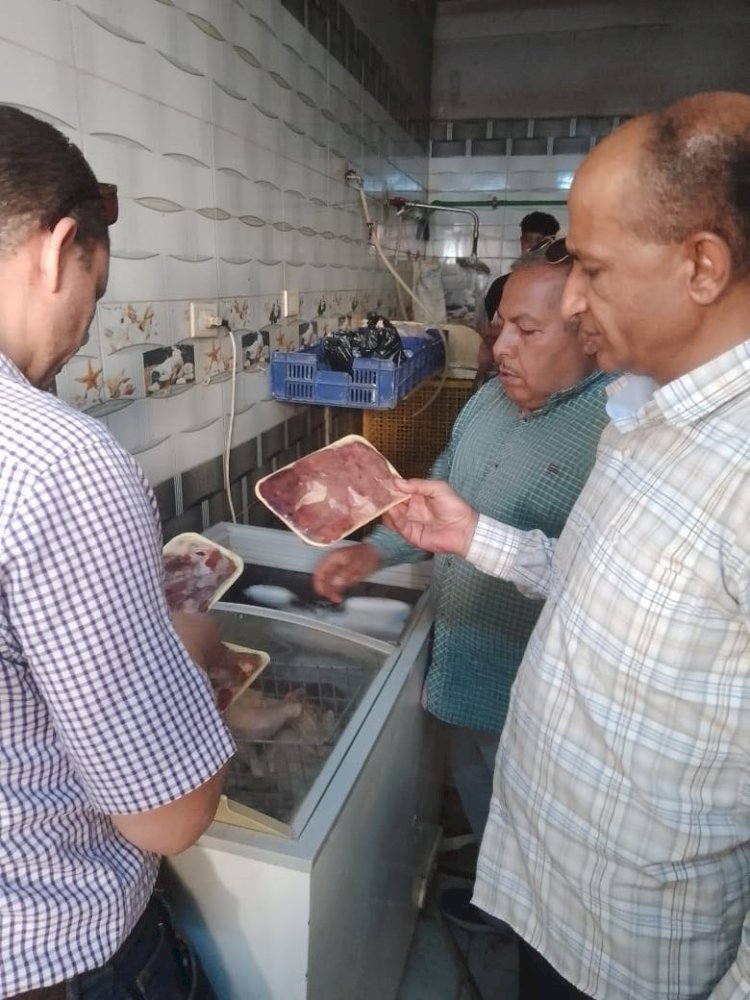 ضمن الاستعدادات لعيد الأضحى.. محافظ المنيا يوجه بتكثيف الحملات التفتيشية 