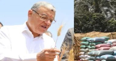 شون وصوامع المنيا تواصل استقبال القمح وتوريد 397 ألف طن منذ بدء الموسم 