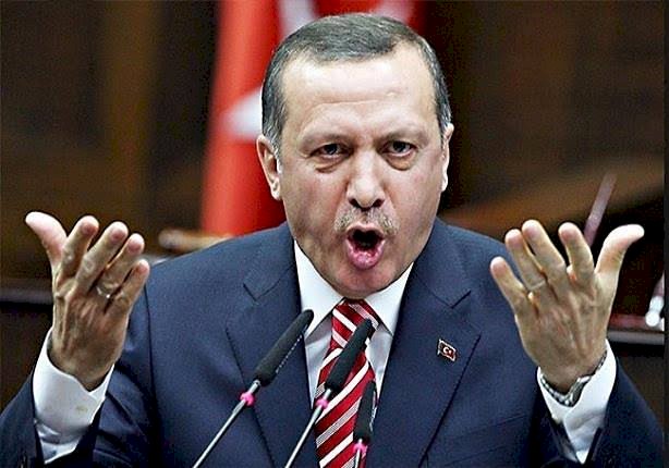 أردوغان يفضح ويتوعد طيور الظلام والفساد التي تدير مخطط إثارة الفوضي في البلاد