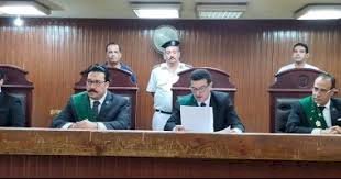 المؤبد وغرامة 100 ألف جنيه لمتهمين بحيازة مواد مخدرة في المنيا