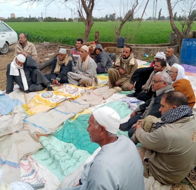 الزراعة: مشروع  ترشيد استخدام المياه في الانشطة الزراعية ينظم "١٠٧"يوم حقلي لمحصولي الارز والذرة بعدة محافظات
