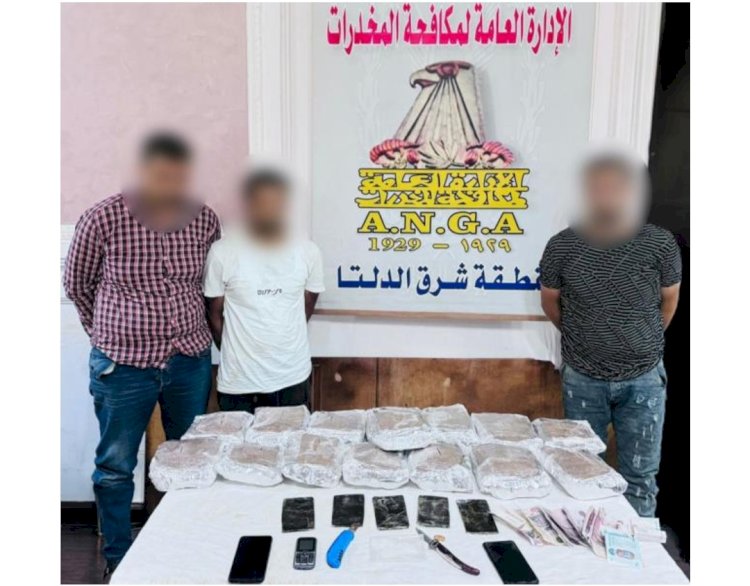 ضبط ثلاثة عناصر اجرامية بحوزتهم كمية كبيرة من المخدرات بالدقهلية