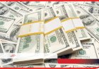 ضربات أمنية مستمرة لضبط مرتكبى جرائم النقد الأجنبى