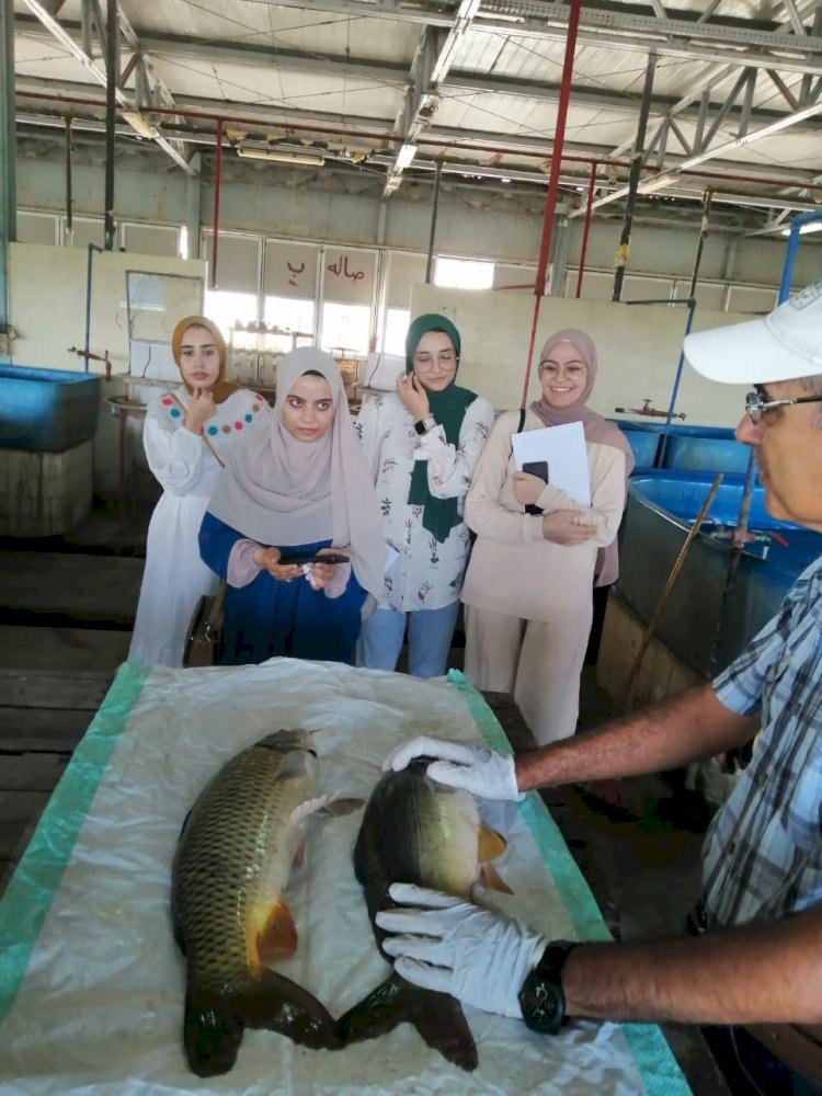 تنمية وحماية البحيرات يختتم التدريب العملي في المجمع السمكي ويسلم شهادات التقدير لطلاب الجامعات