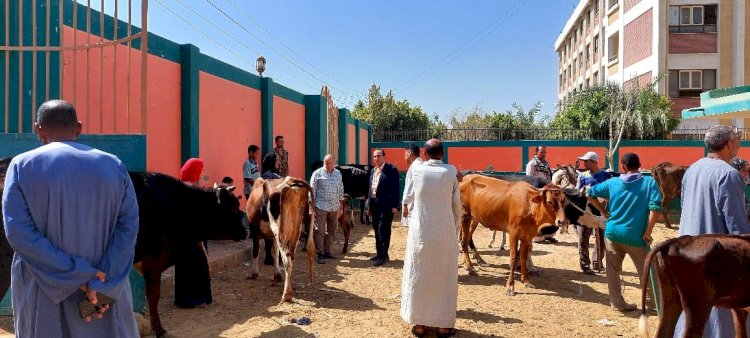بيطري المنيا: تقديم 563 خدمة خلال قافلة بيطرية مجانية بمركز سمالوط
