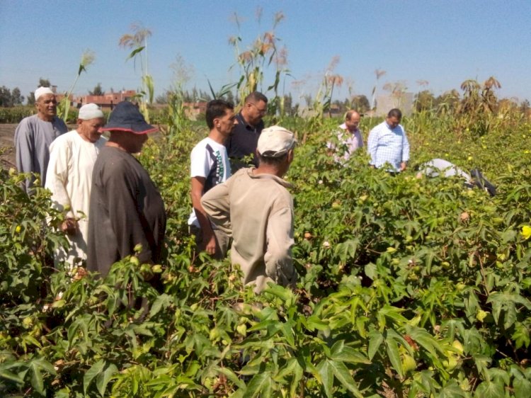 حصاد انشطة مبادرة المراكز الارشادية الزراعية
