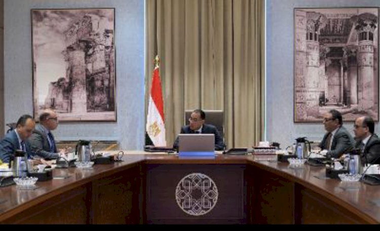 رئيس هيئة الرقابة المالية يستعرض جهود الهيئة امام رئيس الوزراء