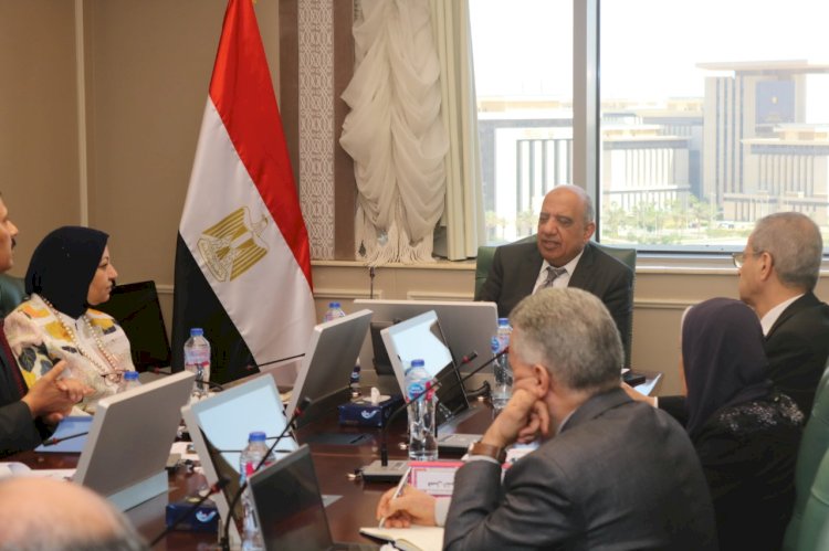 عصمت يرأس لجنة فصل المصرية لنقل الكهرباء عن الشركة القابضة
