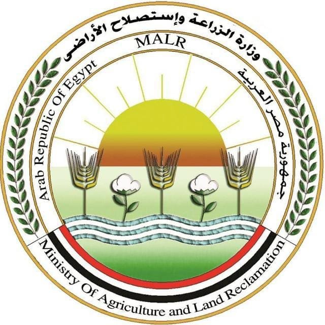 الزراعة: تنفي  فيس بوك "ثعبان الطماطم"