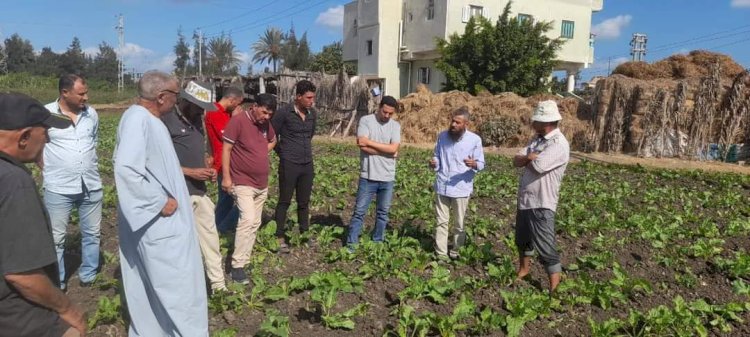 الزراعة: تنفذ ١٣٢٧ نشاط ارشادي لاكثر من ٣١ ألف مزارع