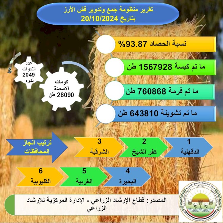 حصاد ٩٤% من المساحات المنزرعة ارز