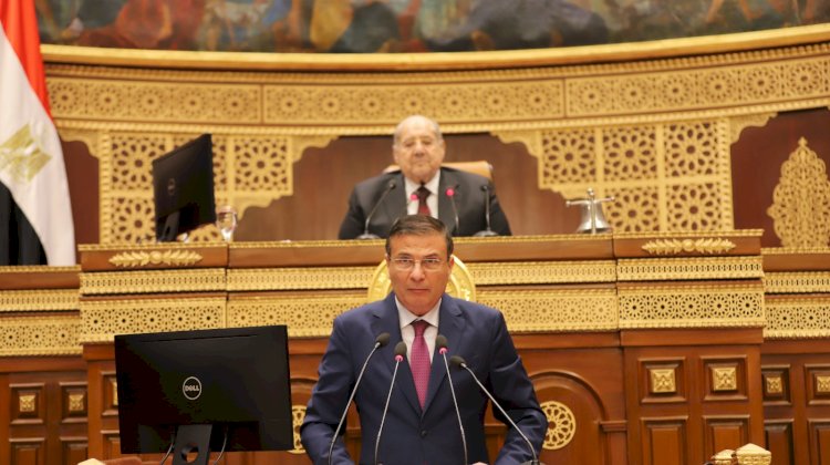 وزير الزراعة يستعرض أمام مجلس الشيوخ جهود الرقابة على تداول المبيدات ودعم الزراعات التعاقدية