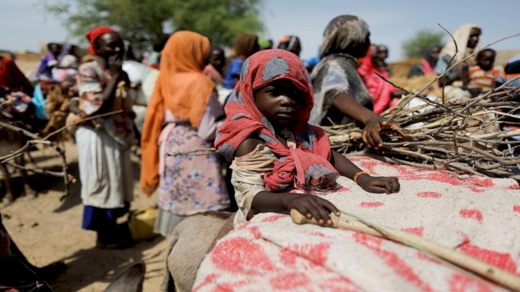 الخارجية المصرية:مجزرة الجزيرة بالسودان استهدفت المدنيين من الأطفال والنساء والشيوخ