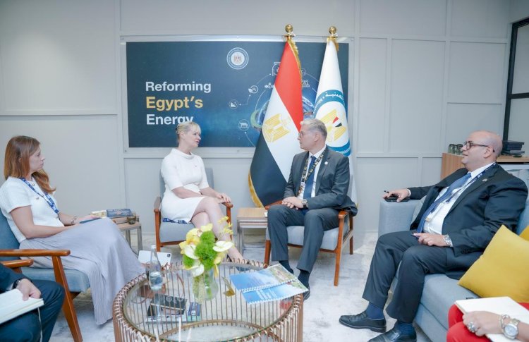 كريم بدوى يبحث مع الأمين العام والرئيس التنفيذي لمجلس الطاقة العالمي التعاون المشترك
