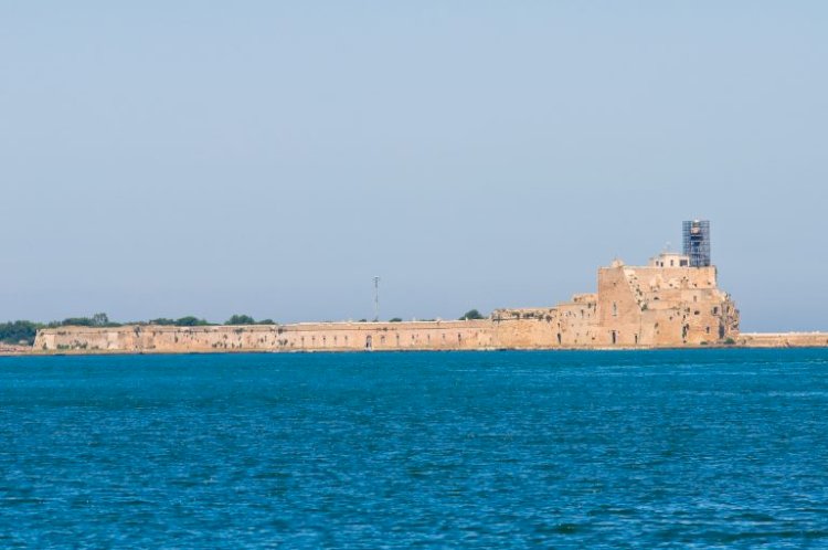 الإسكندرية على موعد مع «المكنسة»