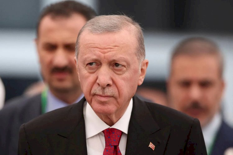 أردوغان من قمة الثماني بالقاهرة: نعمل على استقرار سوريا
