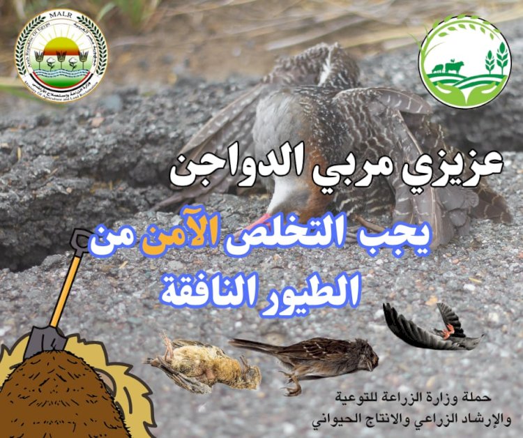 وزير الزراعة يكرم مزراعي القمح ويوجه بحملة قومية لمكافحة الحشائش على نفقة الوزارة